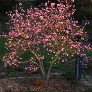 Meet your Posher, Gloria